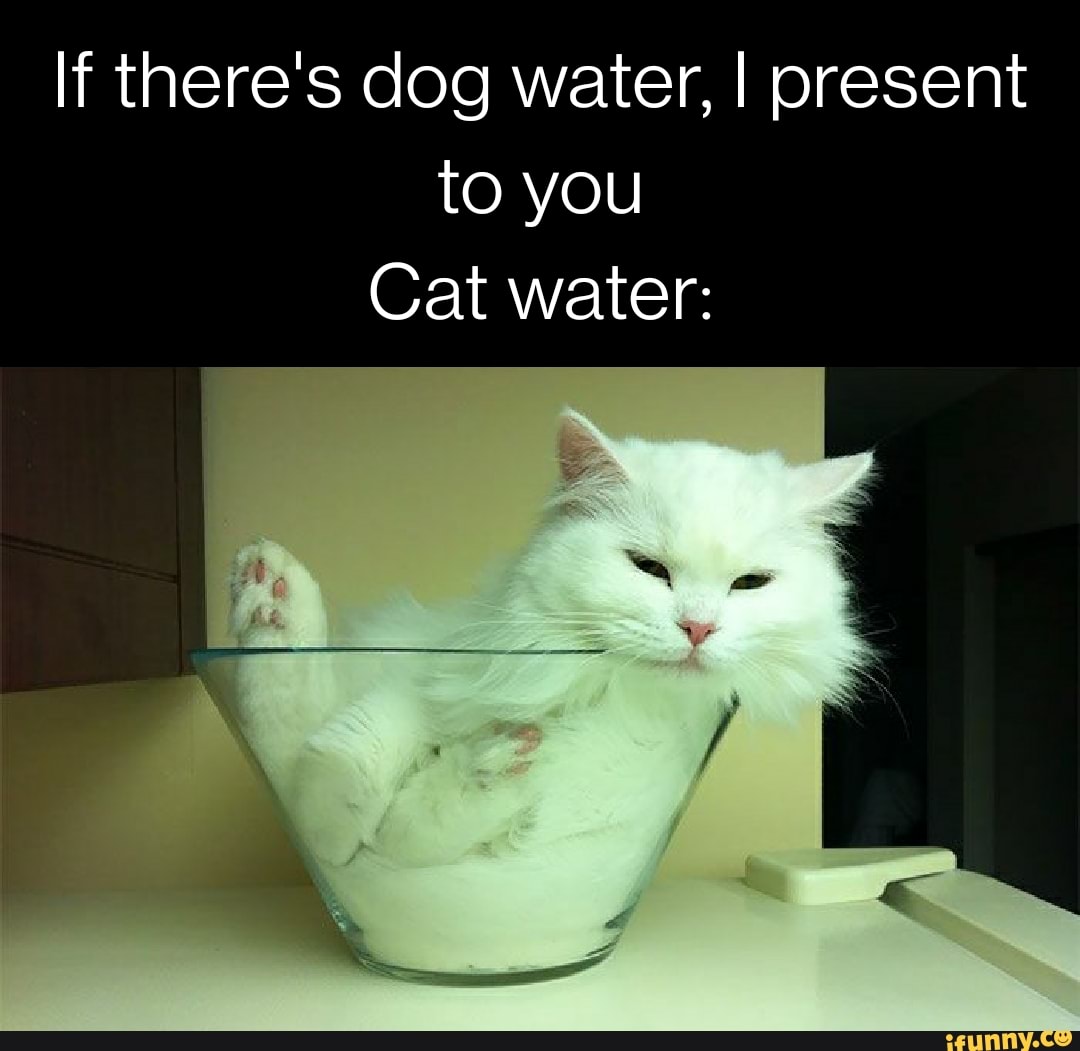 Watery memes. Best Collection of funny Watery pictures on iFunny Brazil