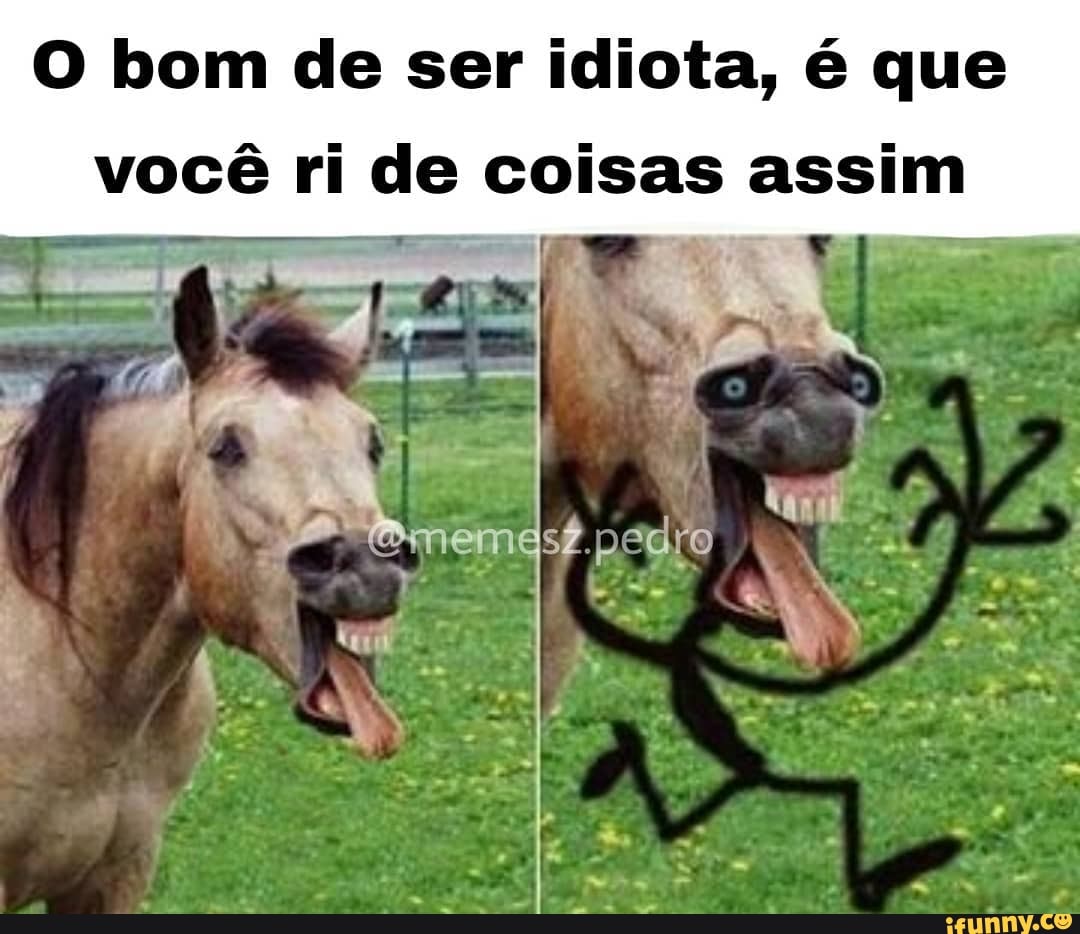 Memes com Humor - O bom de ser idiota é dar risada dessas coisas 😂