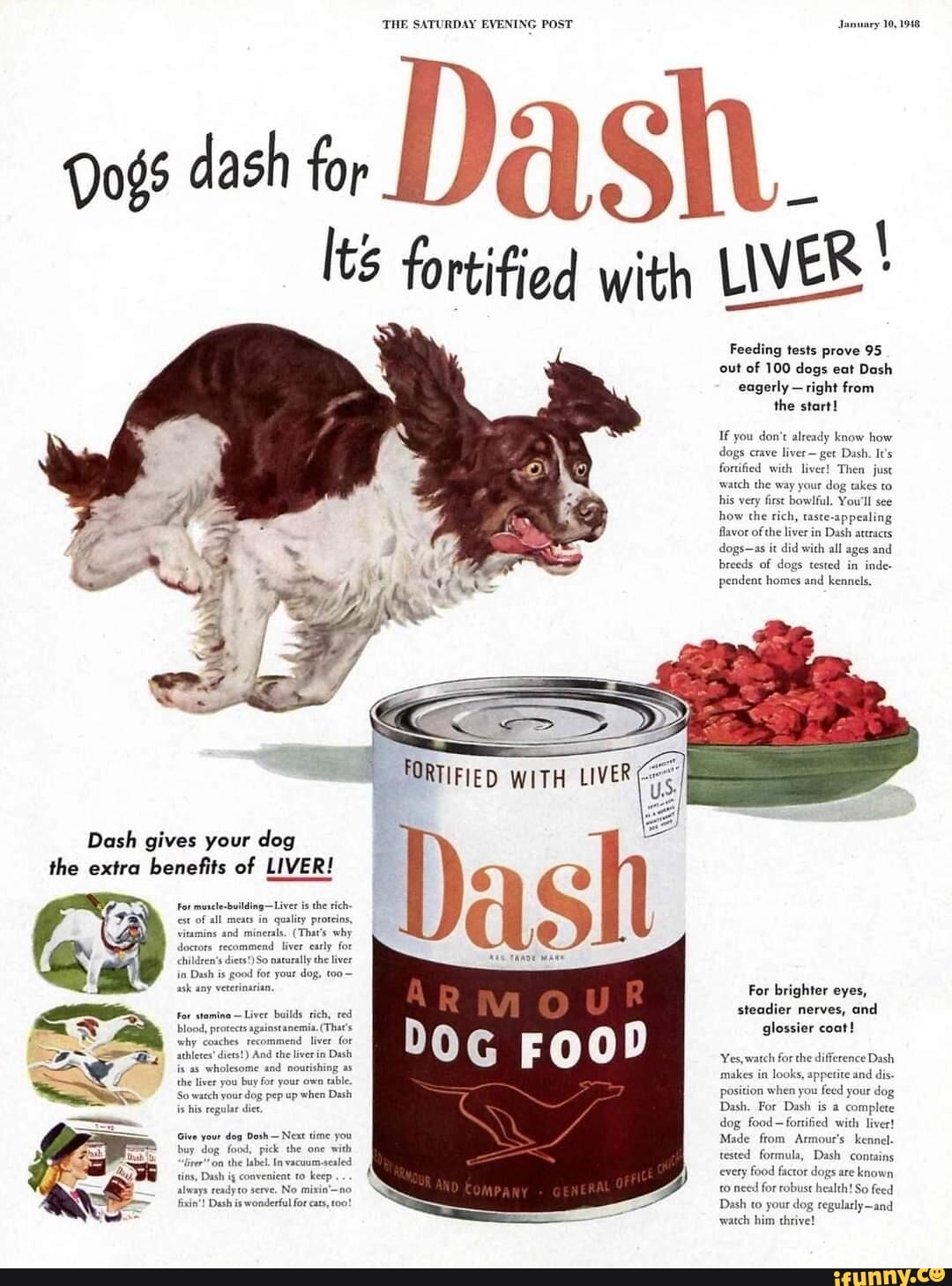 Dash Dog Food