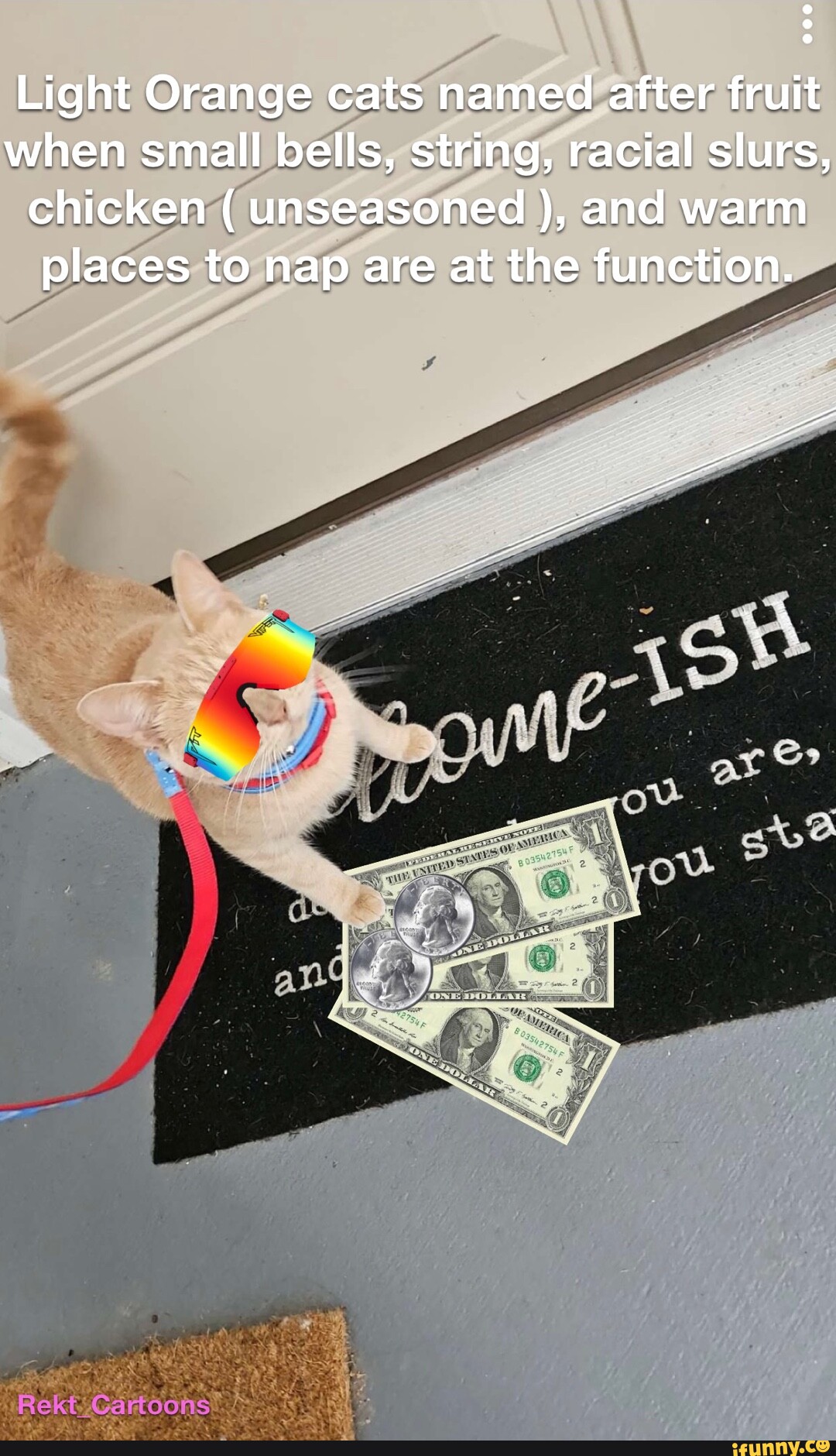 Light Orange cats named after fruit when small bells, string, racial