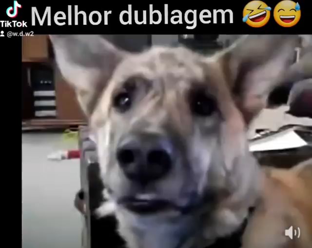 Você Lhe falta dublagem na Netflix. - iFunny Brazil