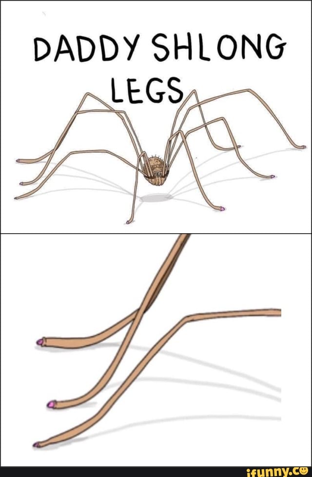Nice and simple, just like daddy - Daddy long legs memes