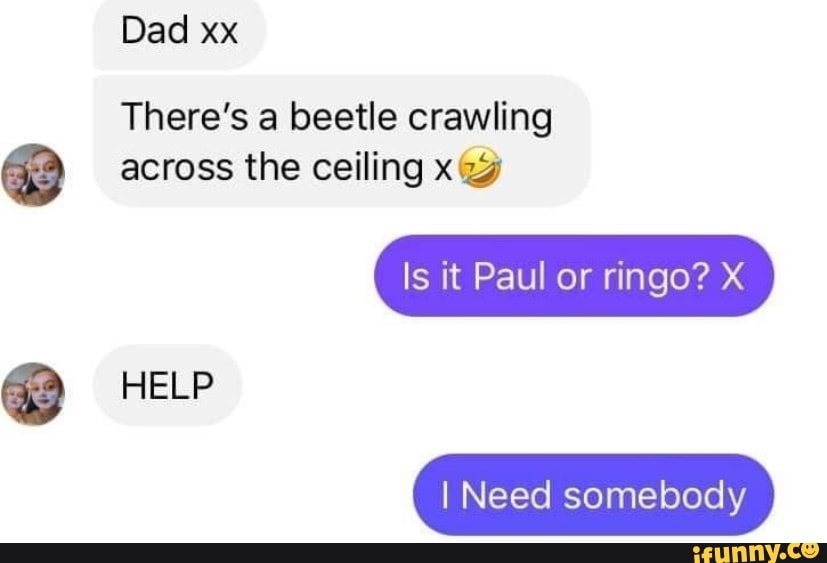 Dad xx There's a beetle crawling across the ceiling Is it ...