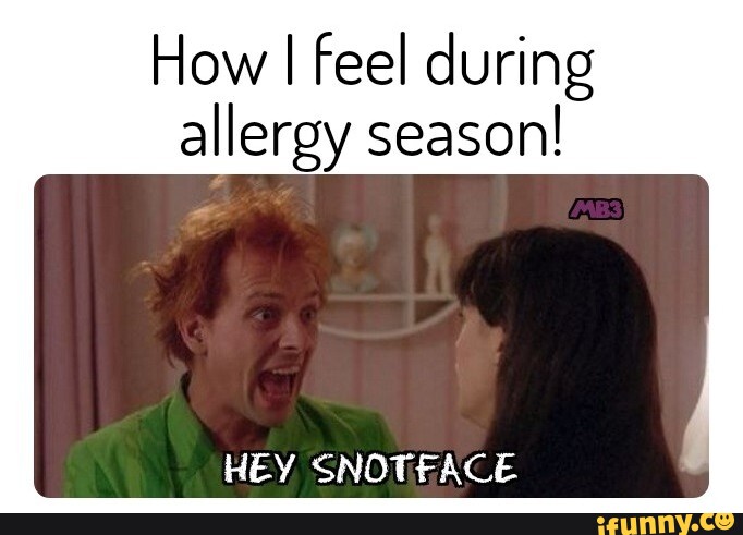 i feel it allergy meme