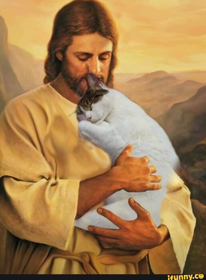 Dos dias um personagem aleatório com uma mi aleatória Jesus CRISTO - iFunny  Brazil