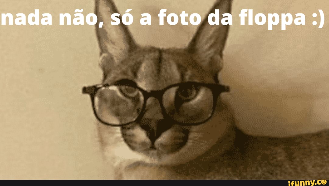 Floppa finó senores - iFunny Brazil