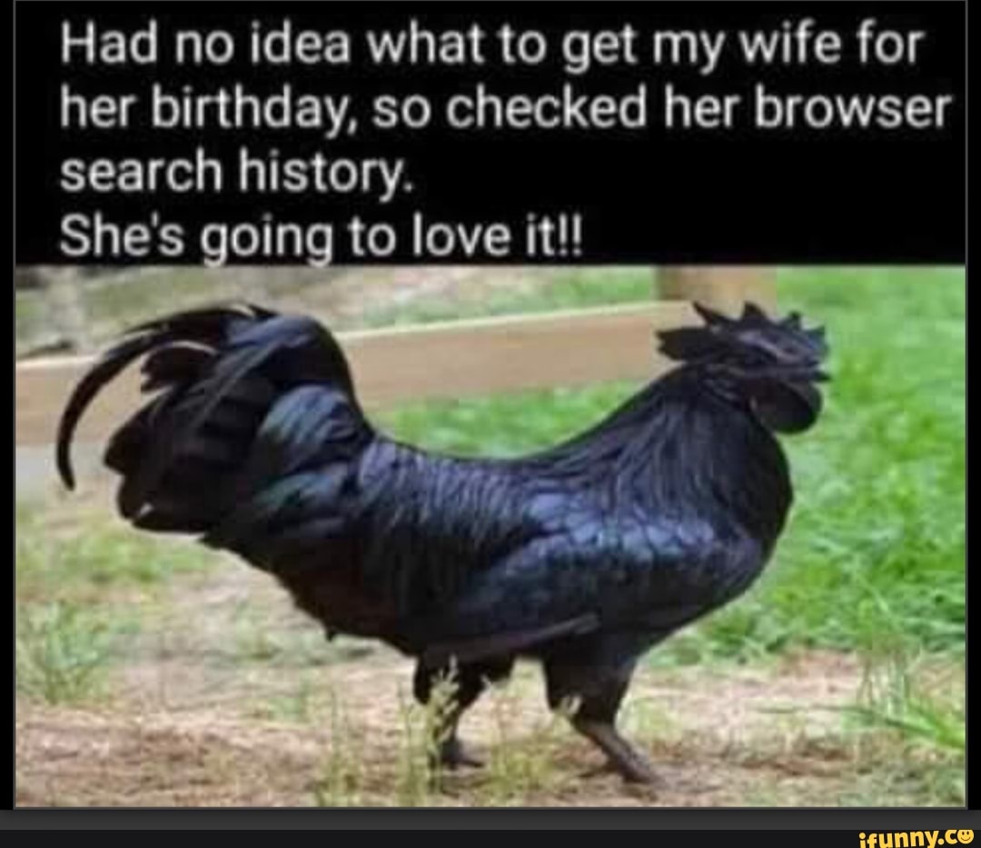 Blackcock memes. Best Collection of funny Blackcock pictures on iFunny  Brazil