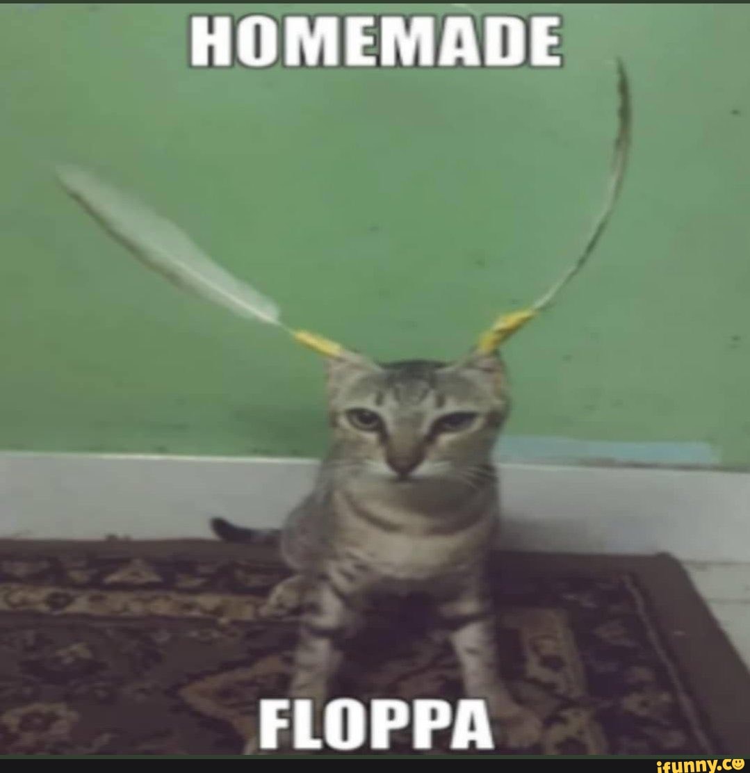 At no Roblox Raise a Floppa raise a floppa d691% &25,2 mil - iFunny Brazil