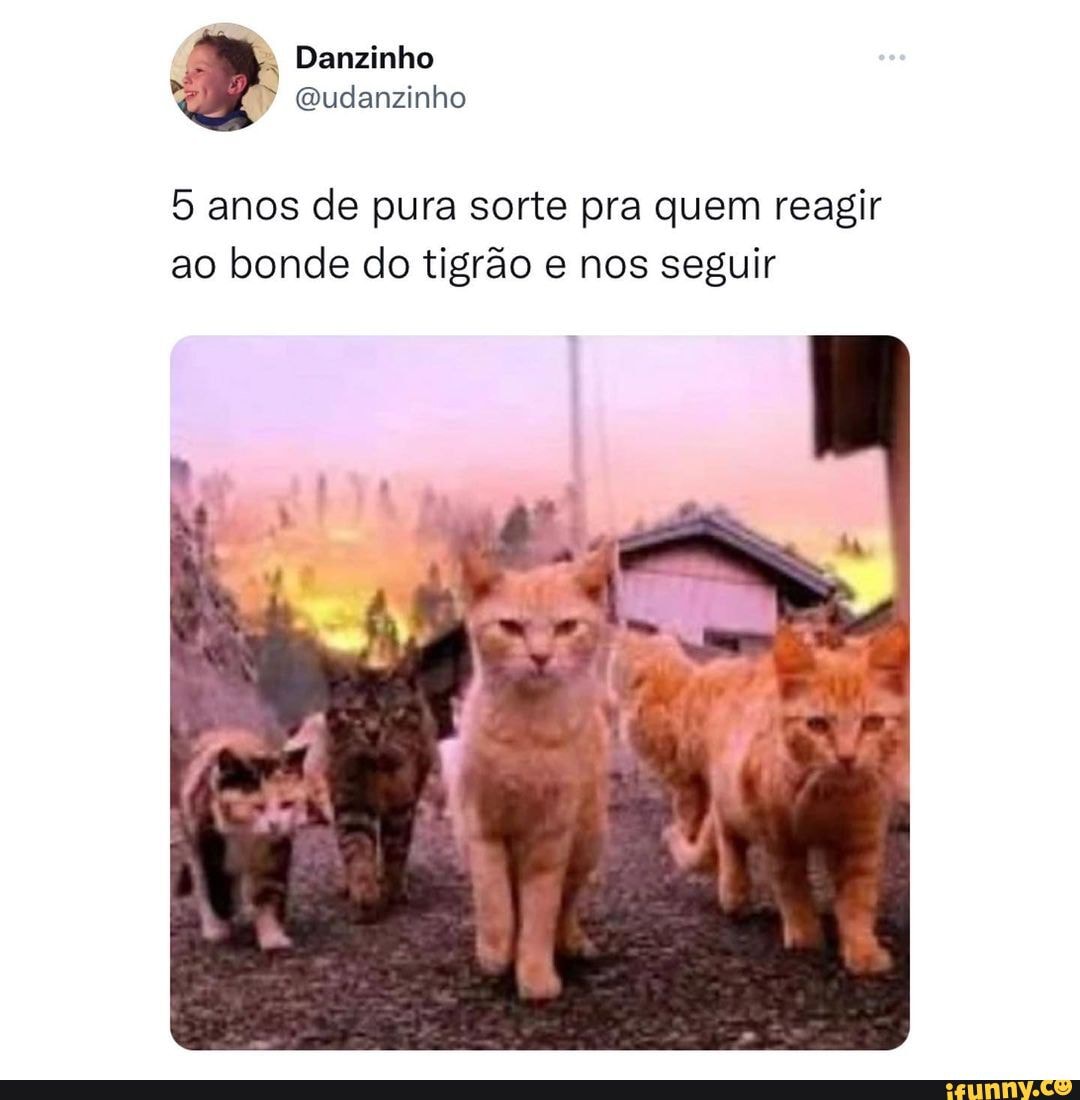 Siga @udanzinho - trate ficante como ficante eu: bom dia amor - iFunny  Brazil