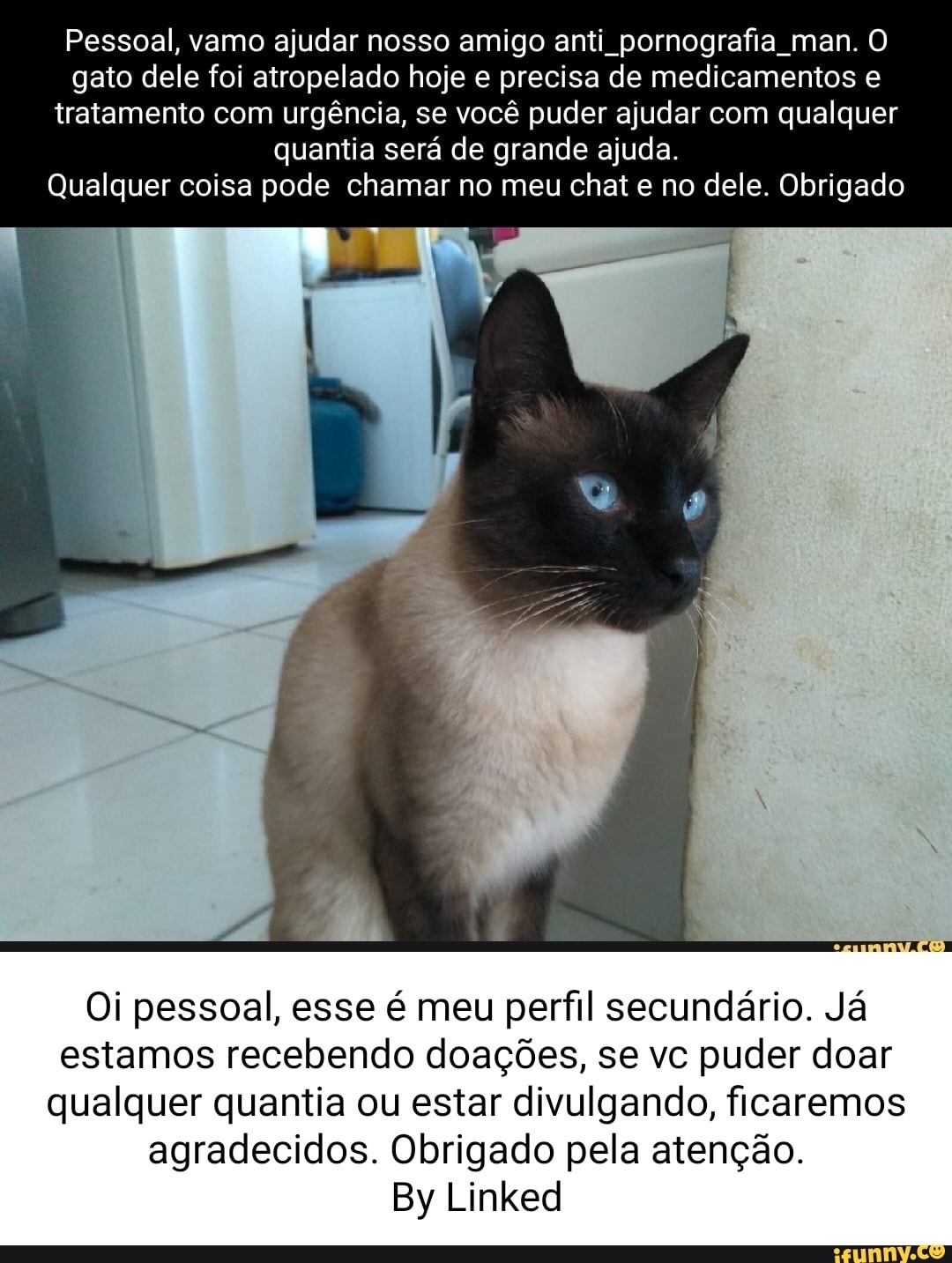 Pessoal, vamo ajudar nosso amigo anti pornografia man. O gato dele foi  atropelado hoje e precisa