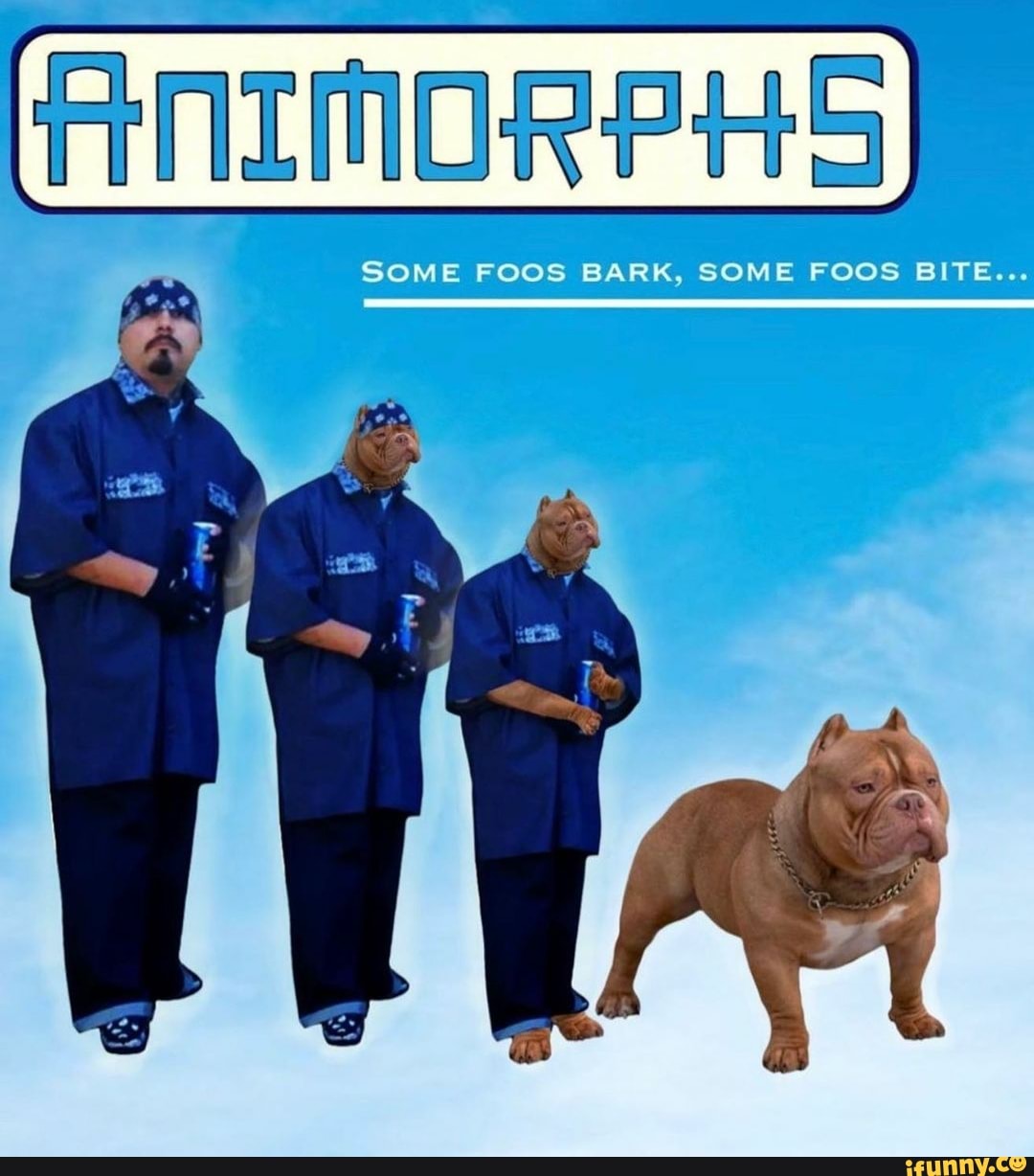 Animorphs Doge