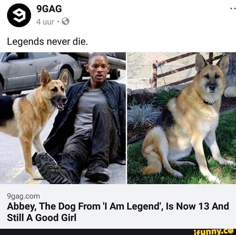 Legend - 9GAG