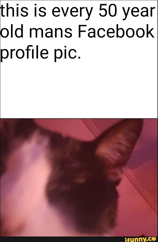 Why is my cat every old guy's facebook pfp? - Why is my cat every old guy's  facebook pfp? - iFunny Brazil