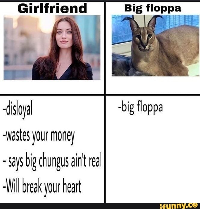 Big Floppa, Big Floppa