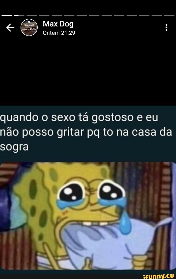 ES, Max Dog Ontem quando o sexo tá gostoso e eu não posso gritar pq to na  casa da sogra - iFunny Brazil