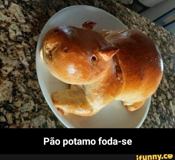 Quando chega na cena do moto moto em madagascar entna hipoPótamo - iFunny  Brazil