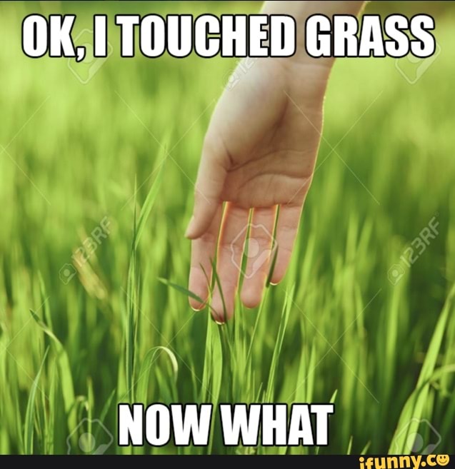 Ok I'm touching grass now what - iFunny Brazil