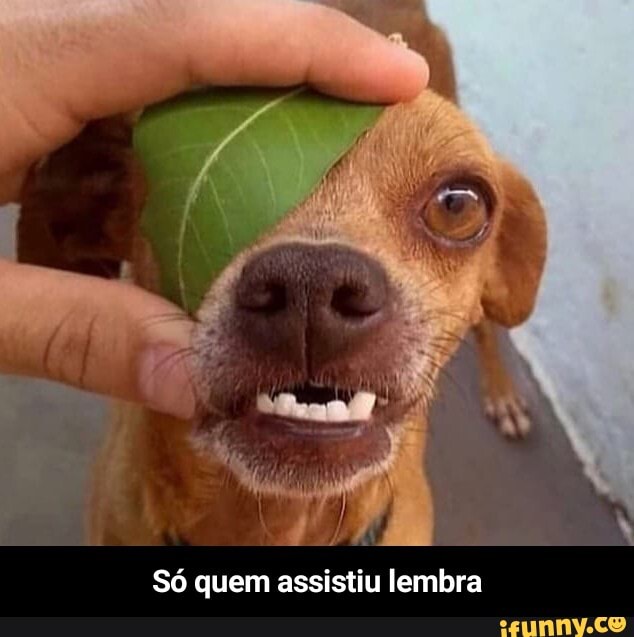 Sem gelo agachante ta eu vendo o dos crias dia 20: - iFunny Brazil