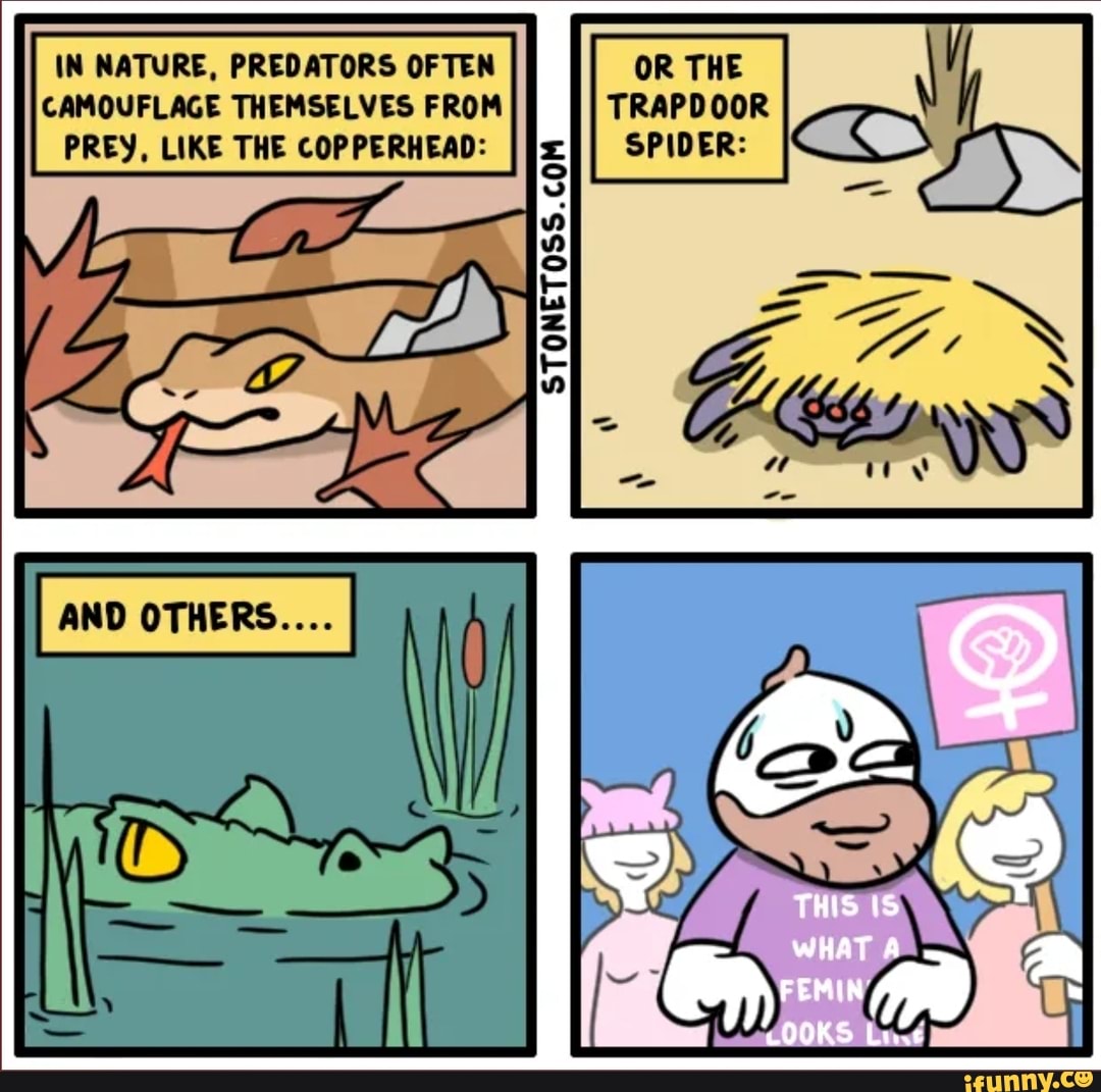 The Nature of Predators