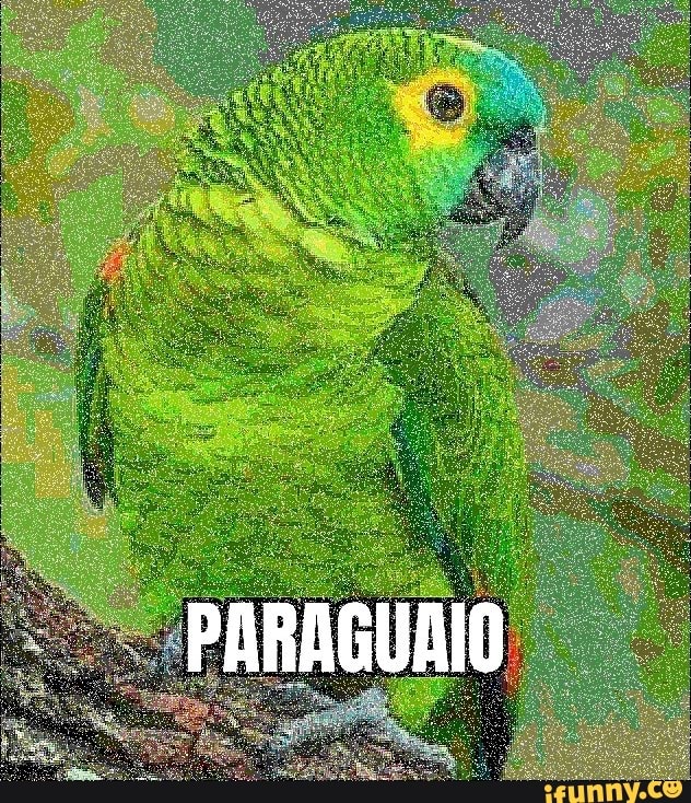 Humor, memes, imagens, gifs, memes, memes brasileiros, memes engraçados, imagens  engraçadas, fotos engraçados, animais engra…