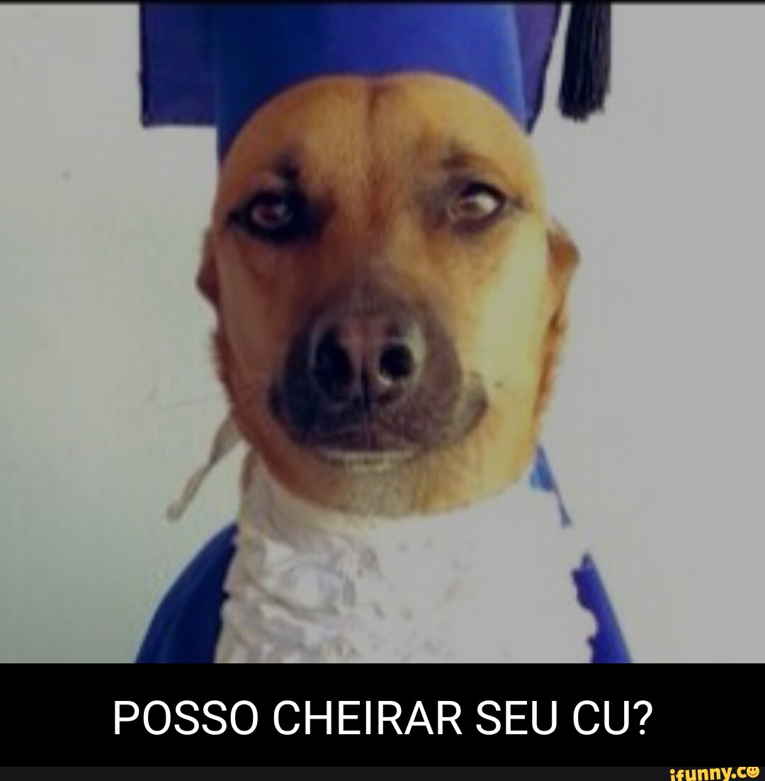 POSSO CHEIRAR SEU CU? - iFunny Brazil