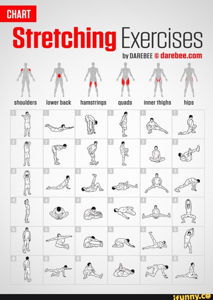 CHART Stretching Exercises by DAREBEE   shoulders lowerback hamstrings  quads _inner thighs hips pee Pi @ aSa - iFunny Brazil