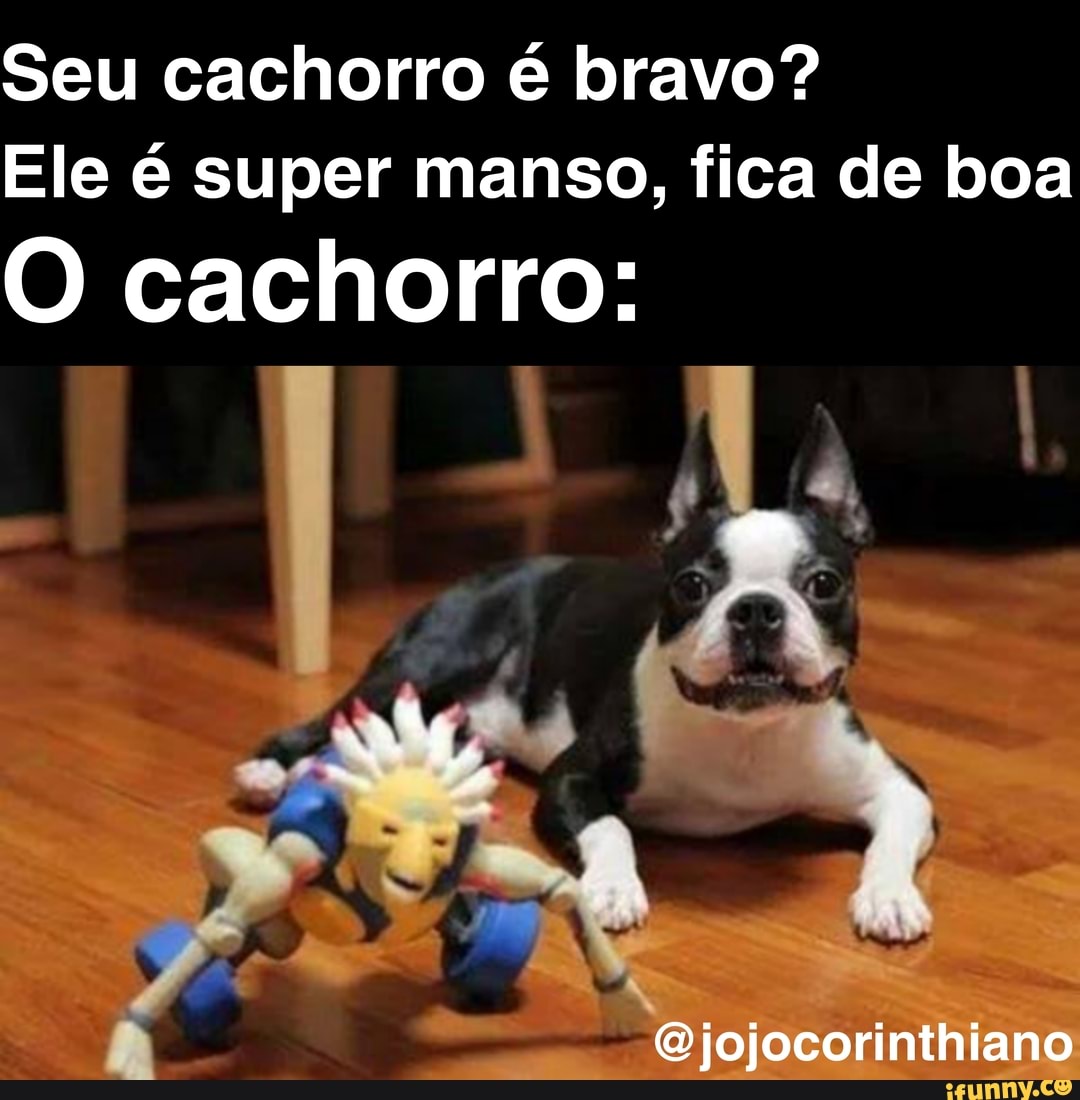 Quando eu estou morrendo na Fila do SUS e me lembro do meme do cachorro  Falando Intankavelo Bostil - iFunny Brazil