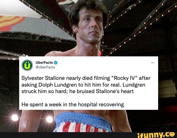 Rocky 4: Dolph Lundgren's Punches Felt Like Sylvester Stallone