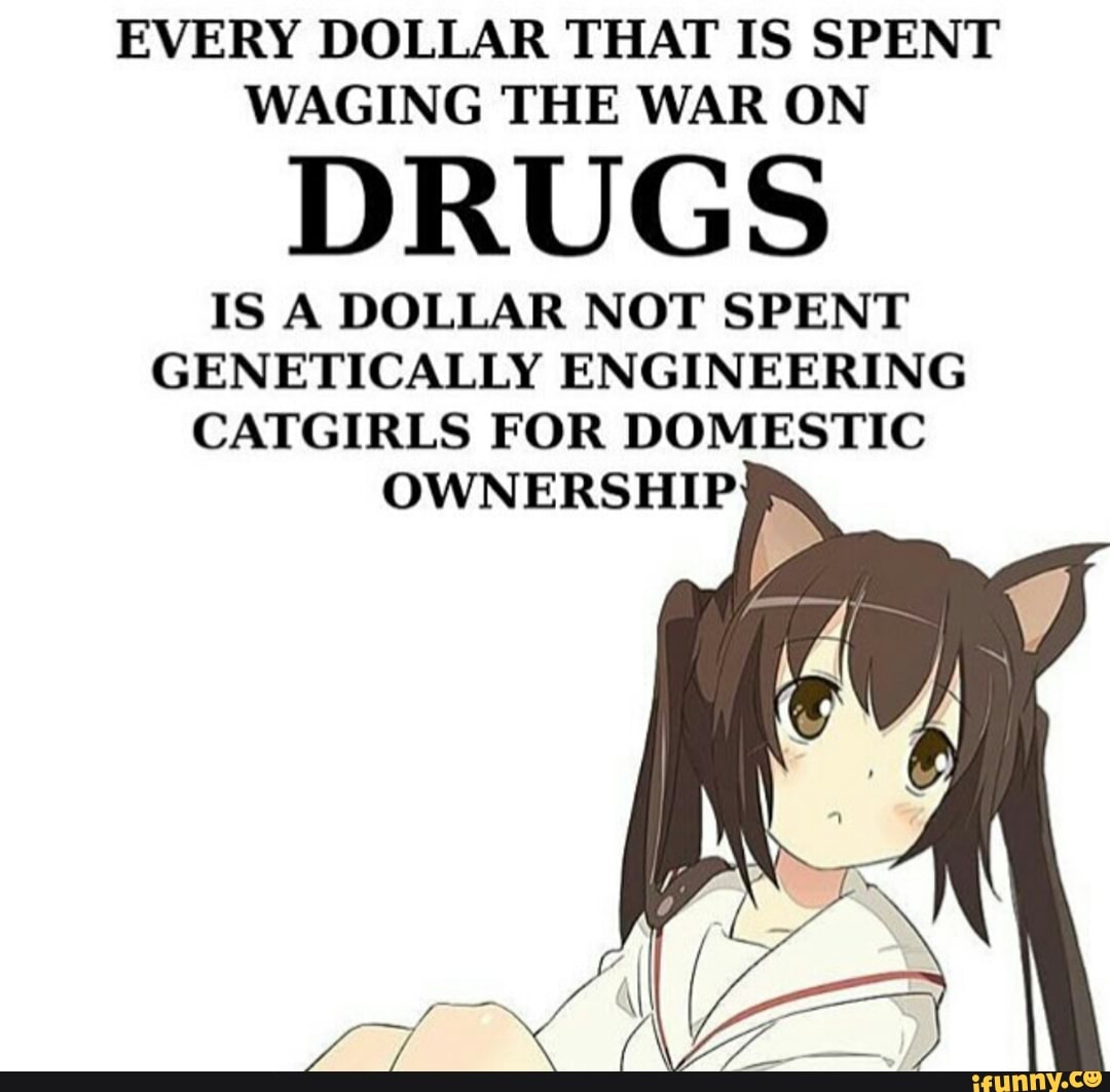 Genetically Engineered Catgirls for Domestic Ownership, Genetically  Engineered Catgirls