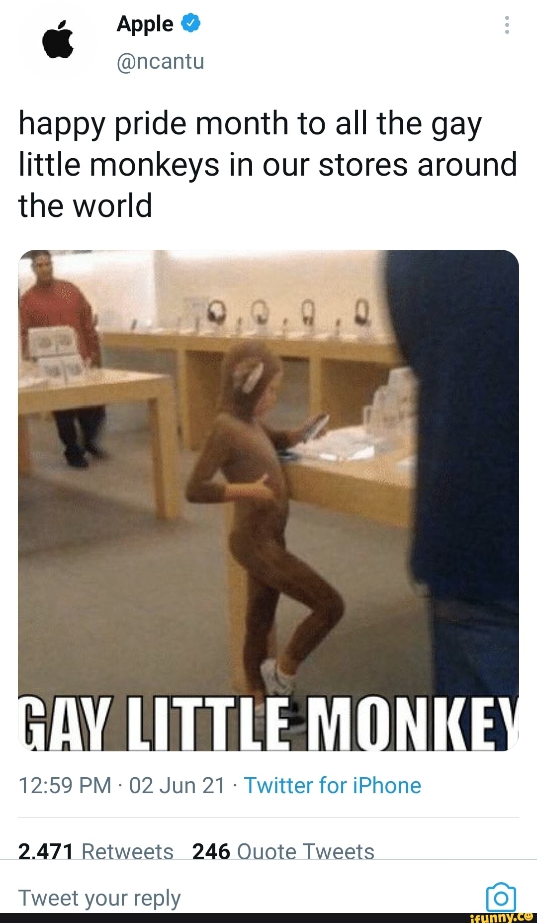 apple-ncantu-happy-pride-month-to-all-the-gay-little-monkeys-in-our