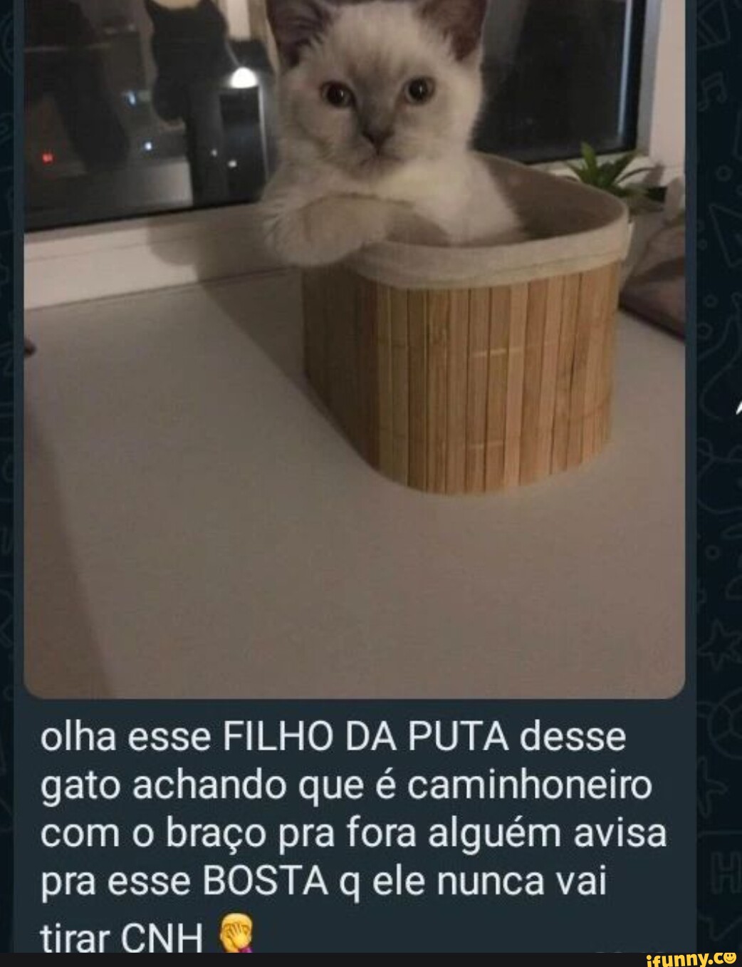 O foda que ela é linda Eeusousóo Leon Agiota do carro do ovo - iFunny Brazil