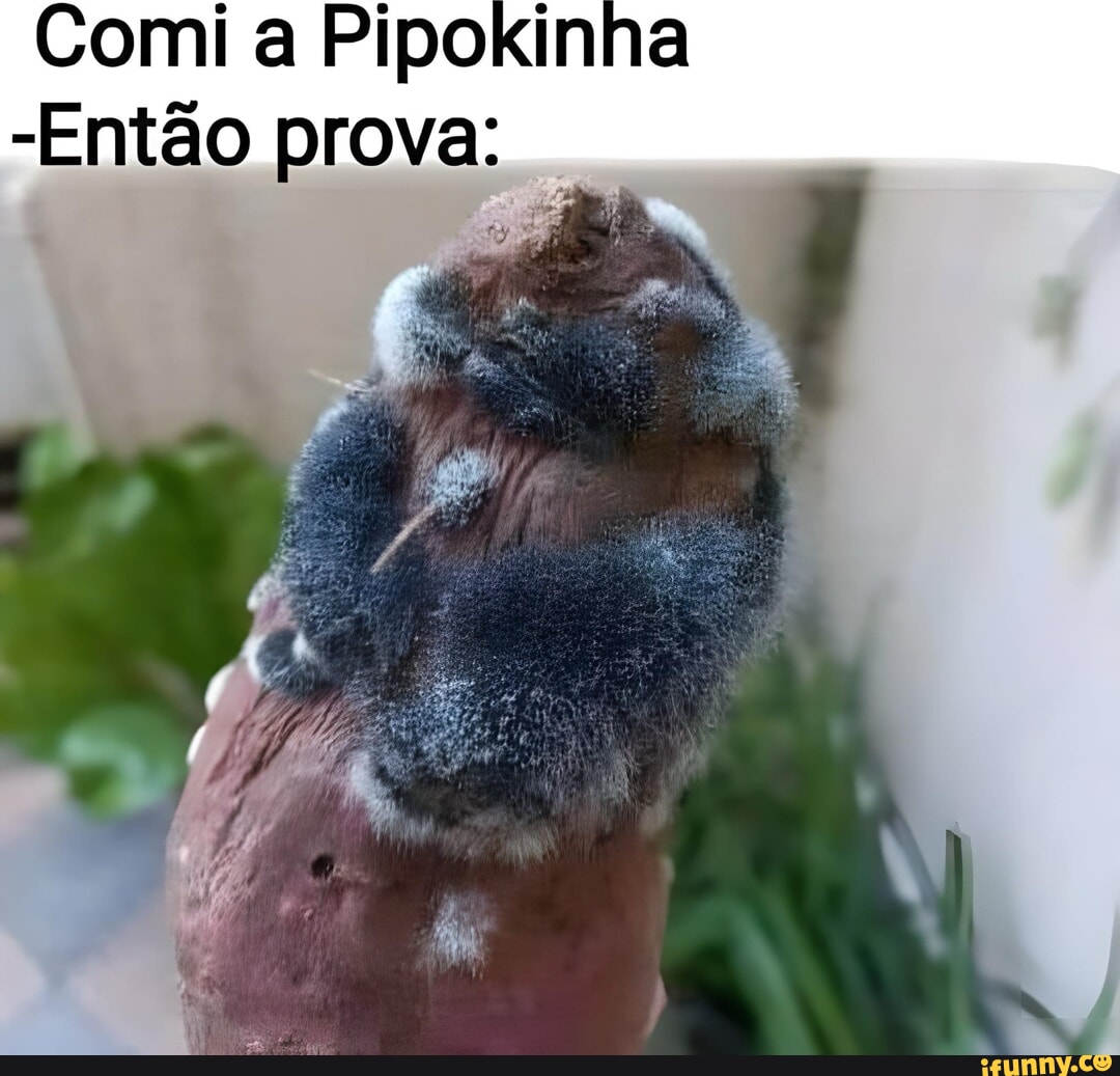 Oo & Comi a Pipokinha Então prova - iFunny Brazil