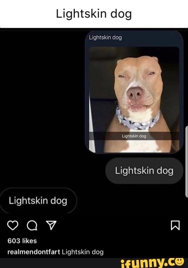 Light Skin Dog - Roblox