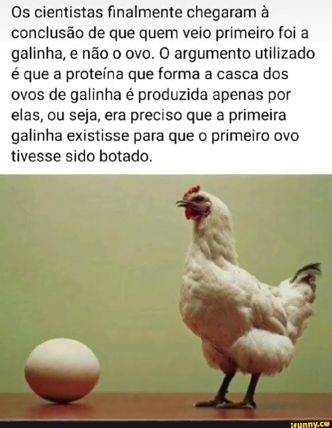 Os cientistas finalmente chegaram à conclusão de que quem veio primeiro ...