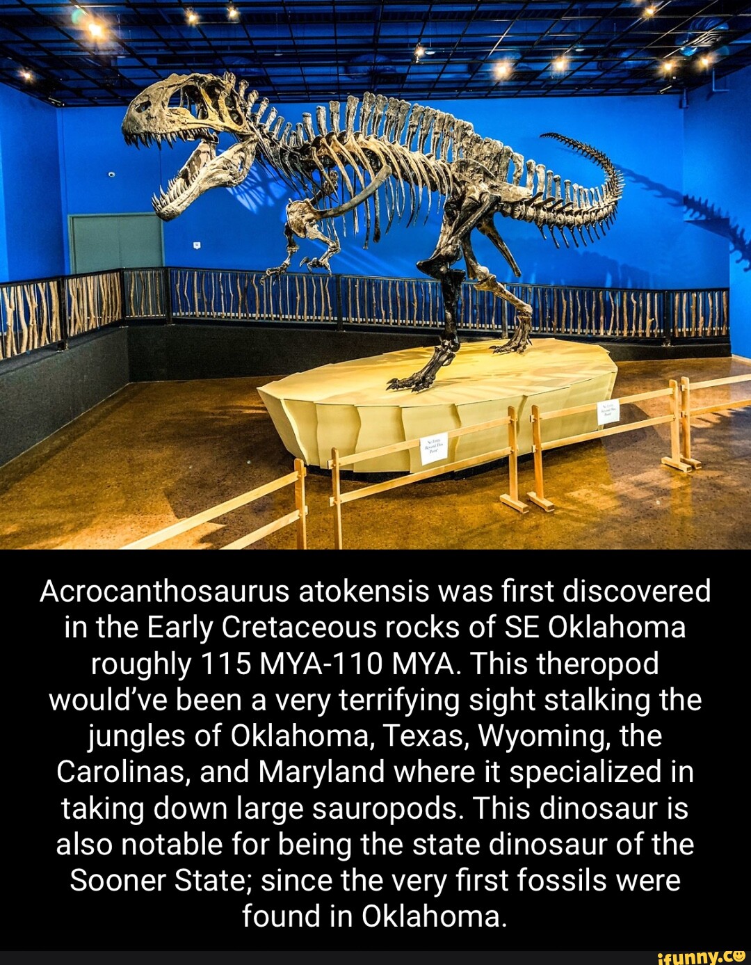 Acrocanthosaurus atokensis was first discovered in the Early Cretaceous