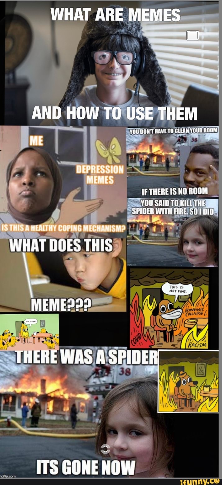 What is a meme – and how do I use them?