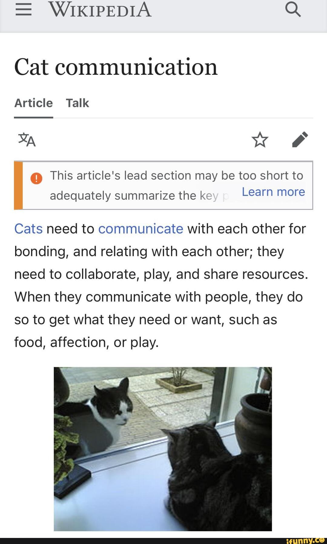 Cat communication - Wikipedia