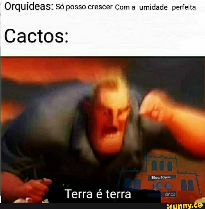 UM BAIXINHO ELE PODE CRESCER ANIMES MEMES BR E FICAR MAIOR QUE VOCÊ Bem  isso - iFunny Brazil