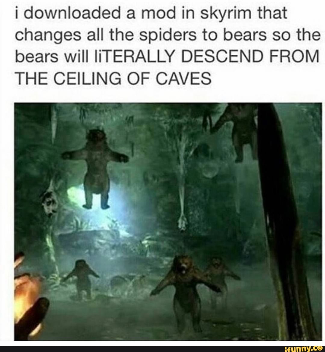 I downloaded a mod in skyrim that changes all the spiders to bears so the  bears will liTERALLY DESCEND FROM THE CEILING OF CAVES - iFunny Brazil