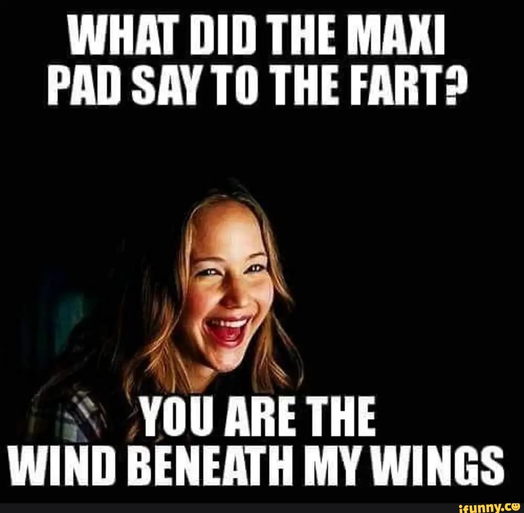 WHAT DID THE MAXI PAD SAY THE FART? YOU ARE THE WIND BENEATH MY WINGS -  iFunny Brazil