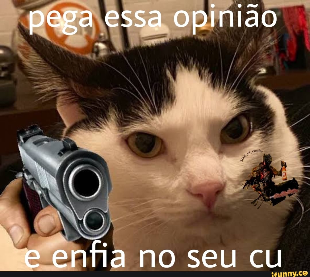 Pega essa opinião e enfia no seu cu - iFunny Brazil