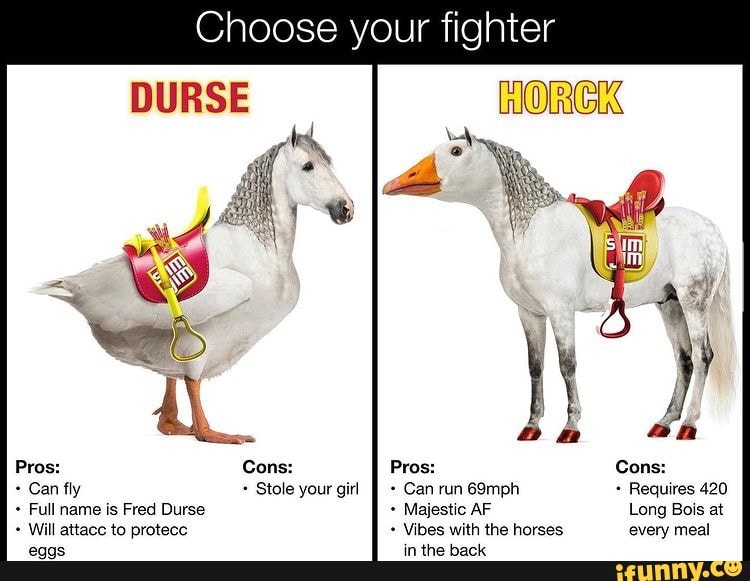 Choose your fighter … 🤺🏈🤲 #USvsUS