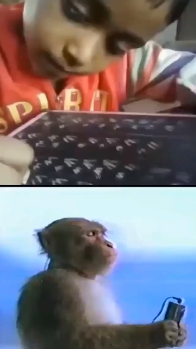 The same sad monkey listening to music.