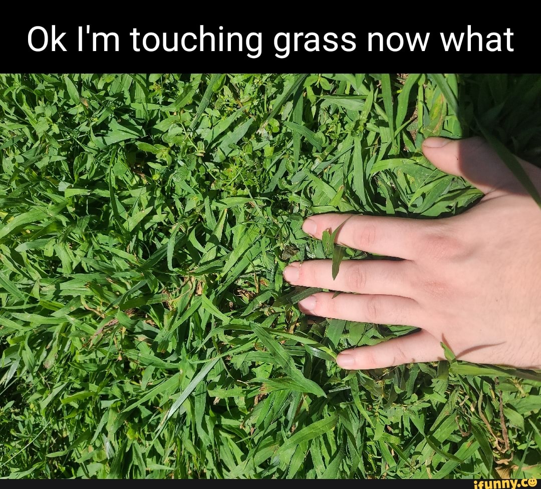 Ok I'm touching grass now what - iFunny Brazil