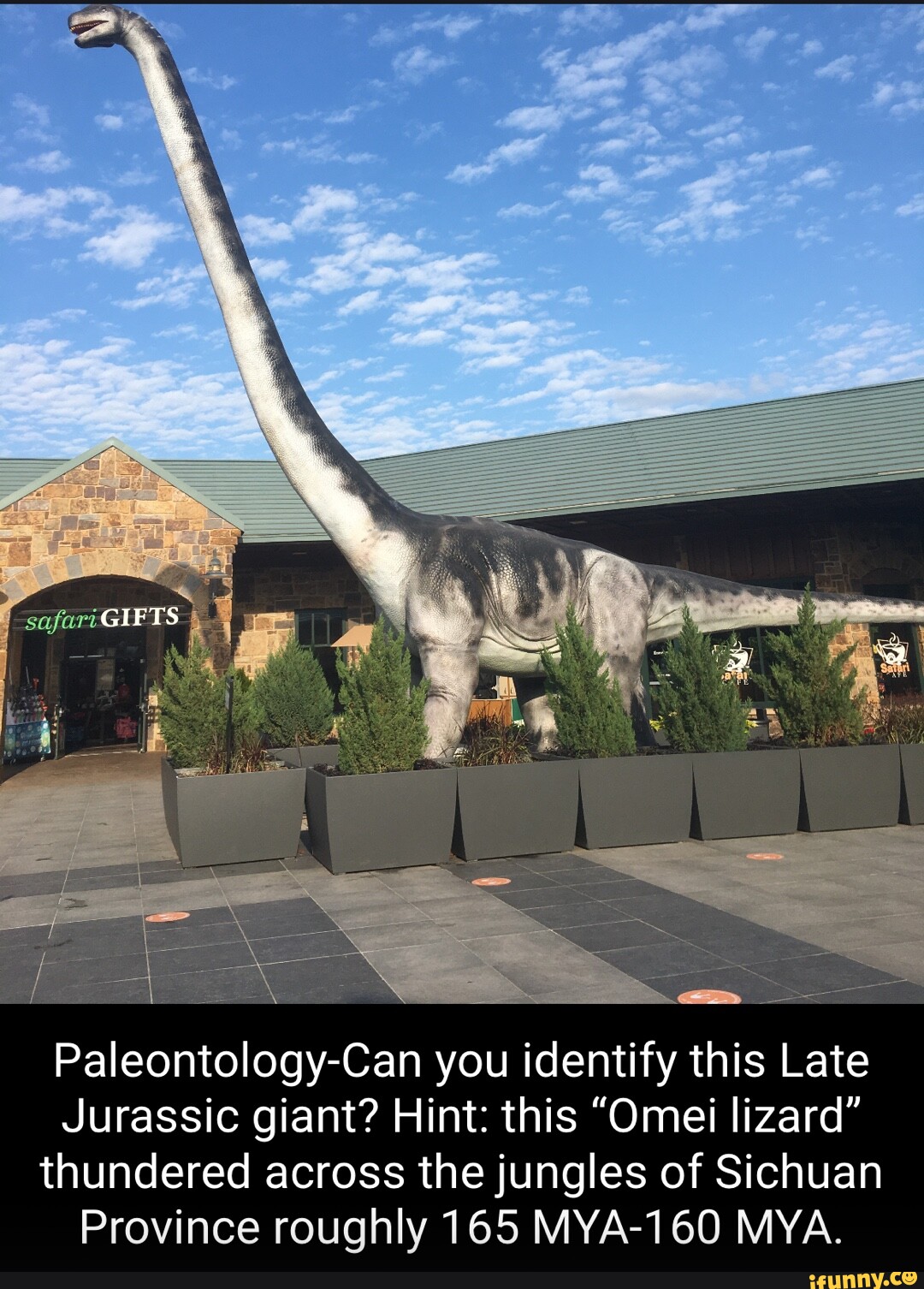 Paleontology gifts discount