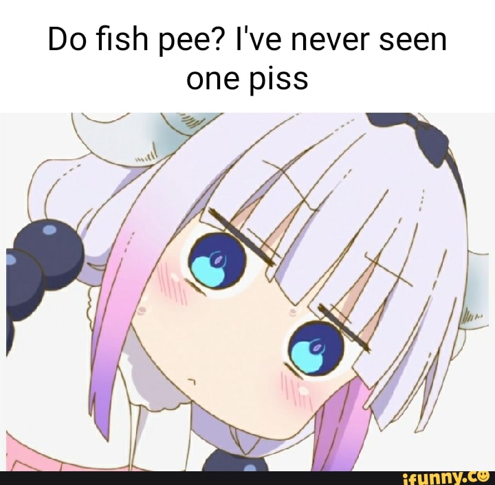 Do Fish Pee? I've Never Seen One Piss Wy - Ifunny Brazil