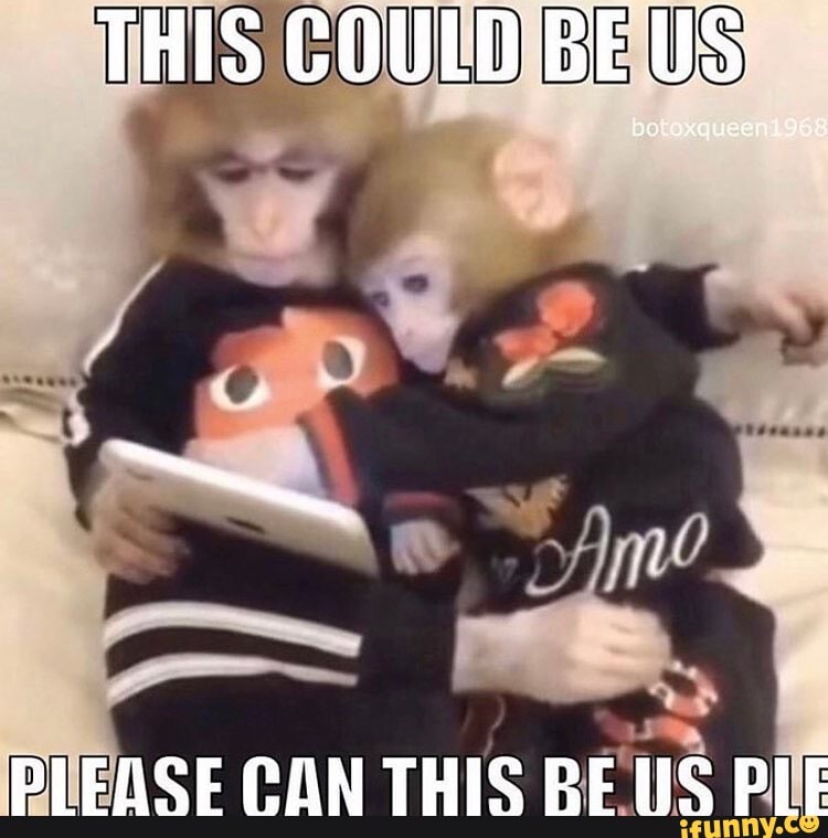 THIS COULD BE US PLEASE CAN THIS BE US PLE - iFunny