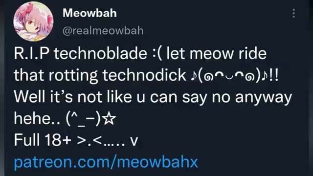 Meowbahh's Final Video with Technoblade 