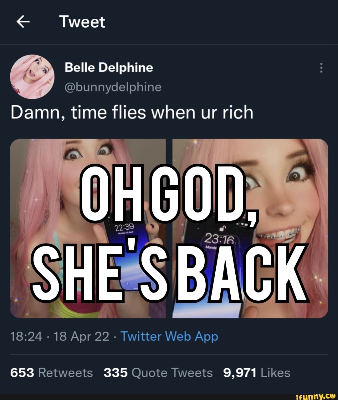 Tweet Belle Delphine @bunnydelphine Damn, time flies when ur rich S re 653  335 9,971 - iFunny Brazil