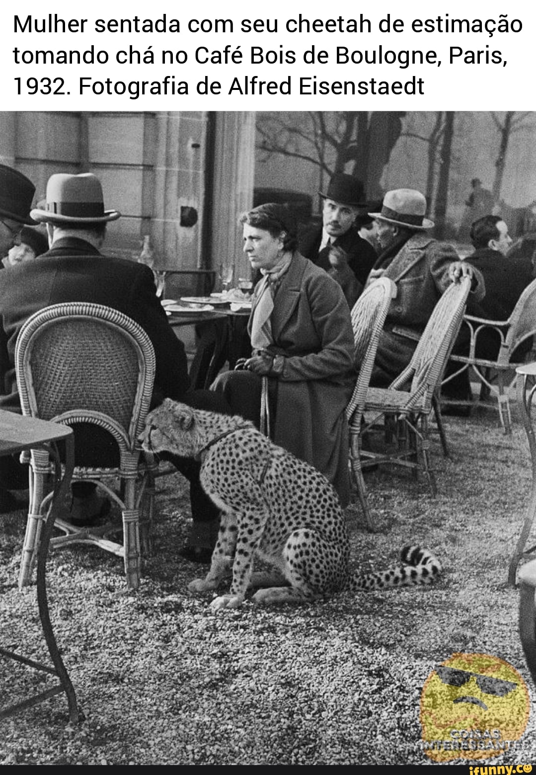 Leopard Cafe, Paris